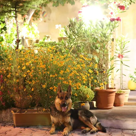 Nil Story House Hostel Goreme