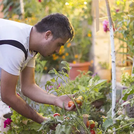 Nil Story House غوريمِيه