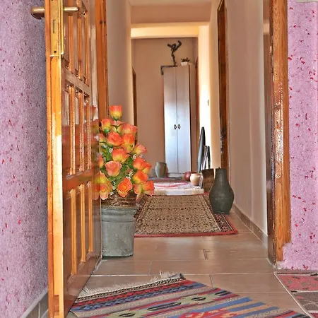 Nil Story House Vandrerhjem