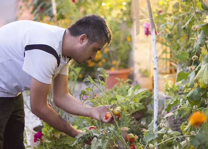 Nil Story House ギョレメ