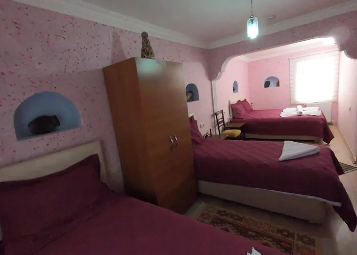 ホステル Nil Story House